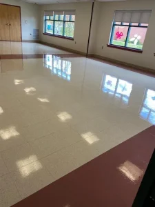 carpet and floor cleaning