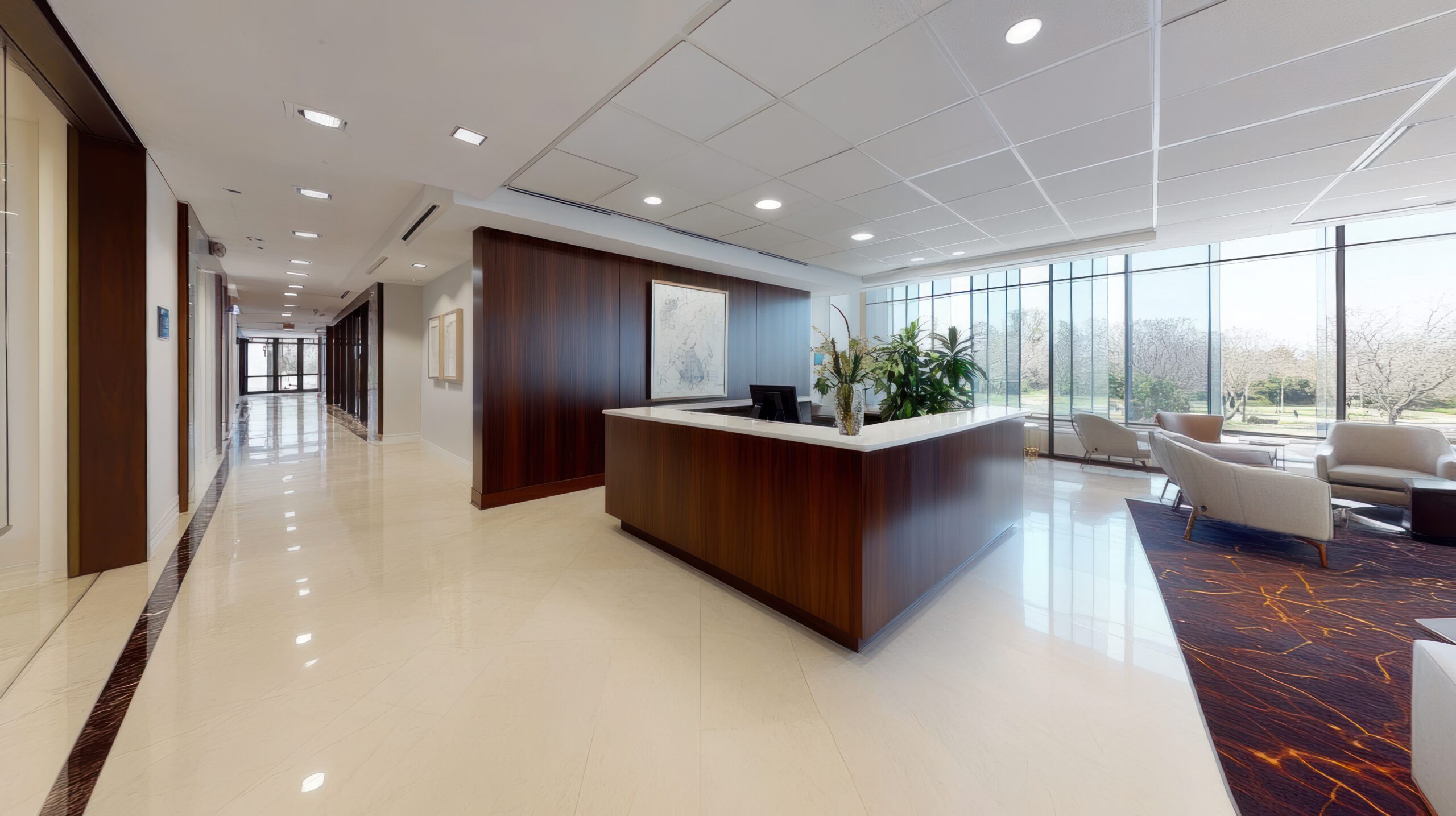 Professional Cleaning Service